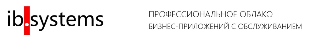 ibsystems.logo